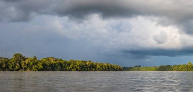 Amazon Nehri 'nin akarsu kolu olan Javari Nehri yakınlarındaki Coati Lagünü' nün panoramik manzarası. Selva Brezilya ve Peru sınırında. Güney Amerika.
