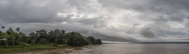 Amazon Nehri 'nin panoramik manzarası, beyaz su. Amazonia. Peru. Güney Amerika.