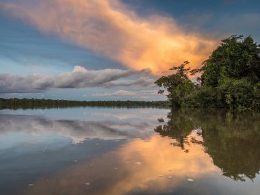 Amazon Nehri 'nin kolu olan Javari Nehri yakınlarındaki Coati Lagünü' nün günbatımı manzarası. Selva Brezilya ve Peru sınırında. Güney Amerika.