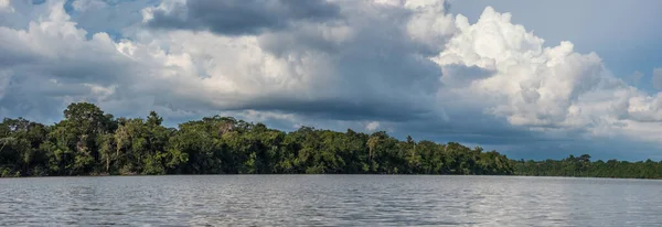 Panorámás Kilátás Coati Lagúna Közel Javari Folyó Mellékfolyója Amazon Folyó — Stock Fotó