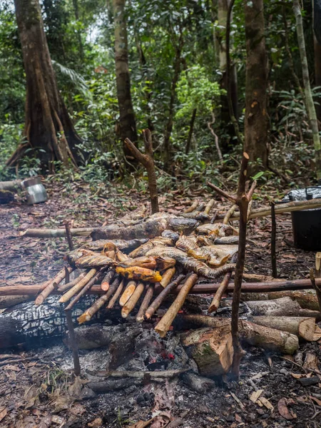 Lagoon Brazylia Marca 2018 Grillowanie Ryb Bananów Ognisku Obozu Dżungli — Zdjęcie stockowe