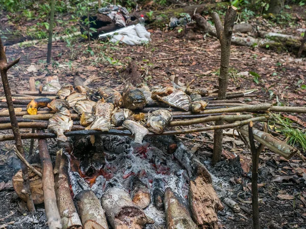 Лагуна Бразилия Марта 2018 Года Жареная Рыба Бананы Камине Джунглях — стоковое фото