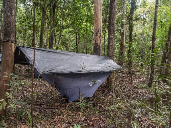 Selva Brasil Marzo 2018 Campamento Con Hamaca Selva Amazónica Selva — Foto de Stock