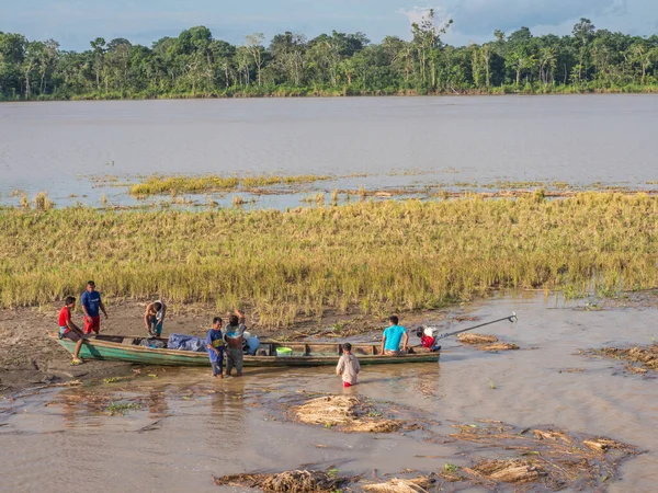 Río Amazonas Perú Diciembre 2018 Durante Temporada Baja Agua Cultivo —  Fotos de Stock