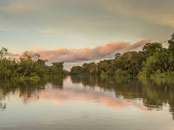 亚马逊河支流贾瓦里河附近的Coati环礁湖日落 巴西和秘鲁边境的塞尔瓦 — 图库照片