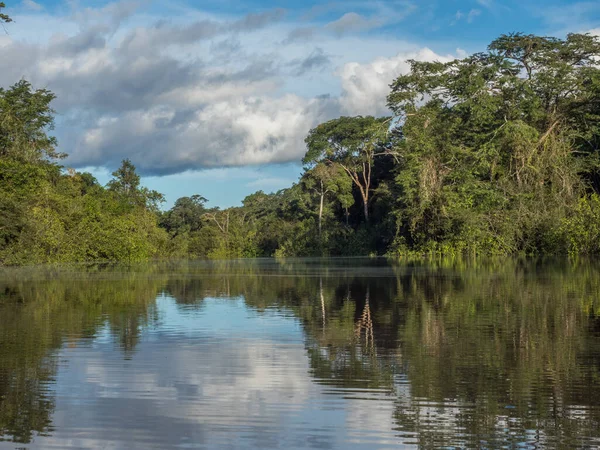Вид Затоку Коаті Біля Річки Джаварі Притоки Амазонки Амазонія Сельва — стокове фото