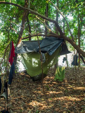 Jungle, Brezilya - 14 Eylül 2018 Amazon ormanlarında hamaklı kamp. Selva. Güney Amerika. Amazonia.