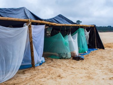 Amazon sahilinde kamp yapmak. Gece boyunca cibinliğin altındaki kumda.
