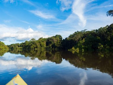 Amazon Nehri 'nin akarsu kolu olan Javari Nehri' nin yakınındaki kanodan görülen Koati Gölünün manzarası. Selva Brezilya ve Peru sınırında. Güney Amerika.