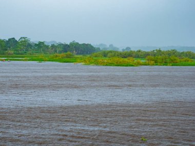 Sihirli Amazonia 'da yağmurlu bir gün. Amazon Nehri, nehirlerin kraliçesi. Yüksek su mevsiminde yağmur ormanları. Brezilya, Peru. Güney Amerika.