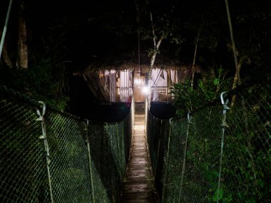 Amazon yağmur ormanlarında göz kamaştırıcı konaklama. Tahta ağaç ev, Amazon Yağmur Ormanı, Amazonya, Pacaya Samiria Ulusal Rezervi, Peru, Güney Amerika.