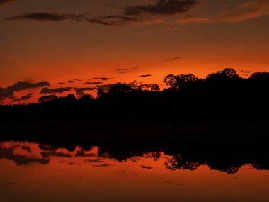 Amazonia. Günbatımında Christina gölünün üzerindeki Amazon ormanının gece manzarası. Selva Brezilya ve Peru sınırında. Javari Vadisi (Valle del Ythe) Güney Amerika