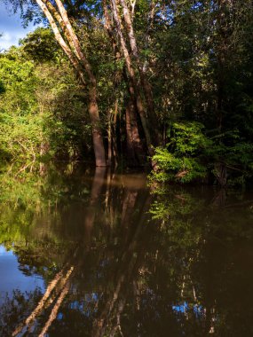 Amazon Nehri, Peru - 19 Eylül 2019: Hamakta uyuyan anne ve çocuğun portresi Peru sakinleri. Amazonia Güney Amerika