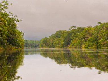 Maran Nehri (Maranon) in Reservas Nacional Pacaya Samiria - Loreto, Peru, Amazonia Güney Amerika bölgesinde korunan bölge.