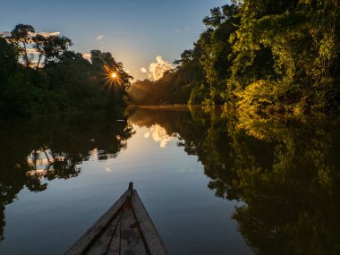Maran Nehri (Maranon) in Reservas Nacional Pacaya Samiria - Loreto, Peru, Amazonia Güney Amerika bölgesinde korunan bölge.