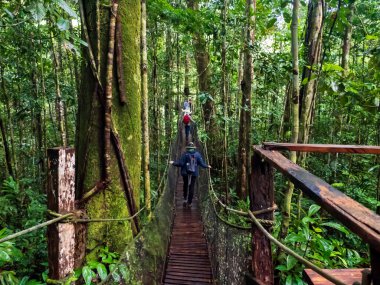 Amazon Doğal Parkı Tepe Yolu. Amazon Doğal Parkı Ro Maraon, Nauta, Peru 'daki turistler için kubbeli kablo köprü. Amazonia, Güney Amerika.