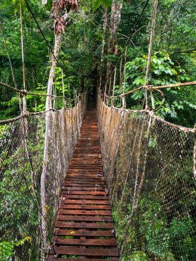 Maran Nehri (Maranon) in Reservas Nacional Pacaya Samiria - Loreto, Peru, Amazonia Güney Amerika bölgesinde korunan bölge.