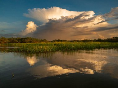 Sunset time over the Ukajali River in Amazon Rainforest,  Amazonia, Pacaya Samiria National Reserve, Peru, South America.