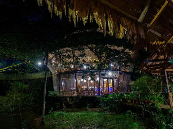 Glamping Hébergement Dans Forêt Amazonienne Maison Des Arbres Bois Forêt — Photo