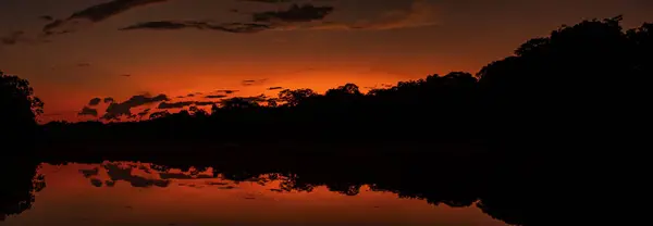 Амазония Ночной Вид Джунгли Амазонки Над Лагуной Кристины Время Заката — стоковое фото