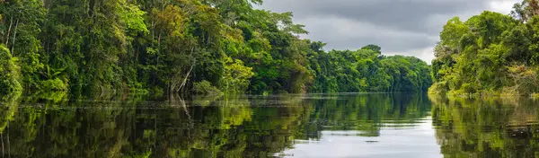 Rzeka Maran Maranon Rezerwacie Nacional Pacaya Samiria Obszar Chroniony Położony — Zdjęcie stockowe