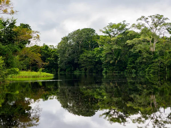 Rio Maran Maranon Reservas Nacional Pacaya Samiria Área Protegida Localizada — Fotografia de Stock