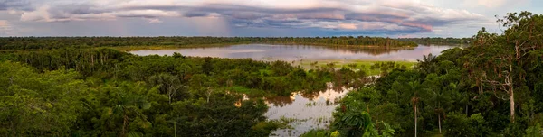 Pôr Sol Rio Javari Afluente Rio Amazonas Amazônia Selva Fronteira — Fotografia de Stock