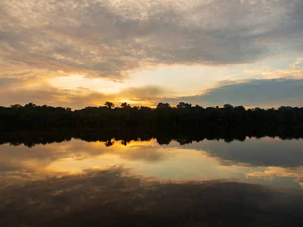 Fantastic Green Amazon Jungle Jaguar Lagoon Onza Lagoon Sunset Time 로열티 프리 스톡 사진
