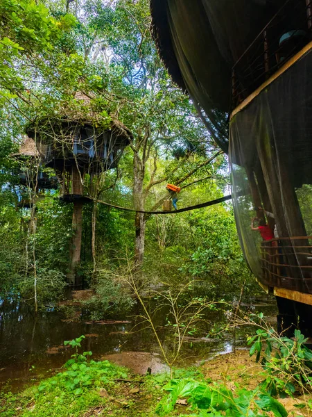 在亚马逊热带雨林里睡觉的地方 Wooden Treehouse Amazon Rainforest Amazonia Pacaya Samiria National Reserve 图库图片