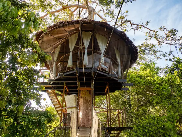 在亚马逊热带雨林里睡觉的地方 Wooden Treehouse Amazon Rainforest Amazonia Pacaya Samiria National Reserve 免版税图库图片