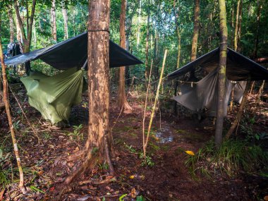 Jungle, Brazil - March 2018: Camp with hammocks in the amazon jungle. Selva. South America. Amazonia.