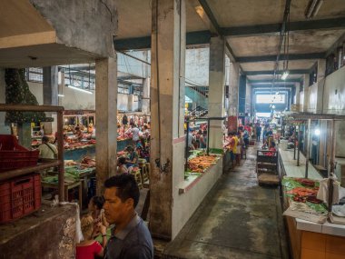 Amazon Doğal Parkı Tepe Yolu. Amazon Doğal Parkı Ro Maraon, Nauta, Peru 'daki turistler için kubbeli kablo köprü. Amazonia, Güney Amerika.