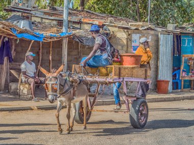 Nianing, Senegal - 24 Ocak 2019: Adam Senegal yolunda eşek arabasına biniyor. Afrika 'da popüler bir ulaşım yoludur.
