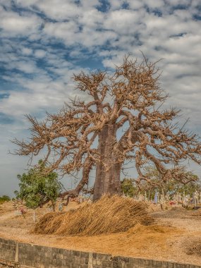 Dönüşü Olmayan Kapı, Goree Adası 'ndaki Köleler Evi' nde. Gore. Dakar Senegal. Afrika.