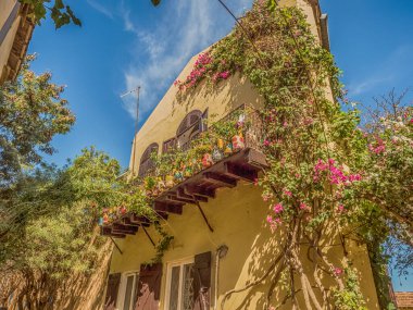 Goree, Senegal 2 Şubat 2019 Goree Adası 'nda büyük baobab' lı bir sokak. Gore. Dakar Senegal. Afrika.