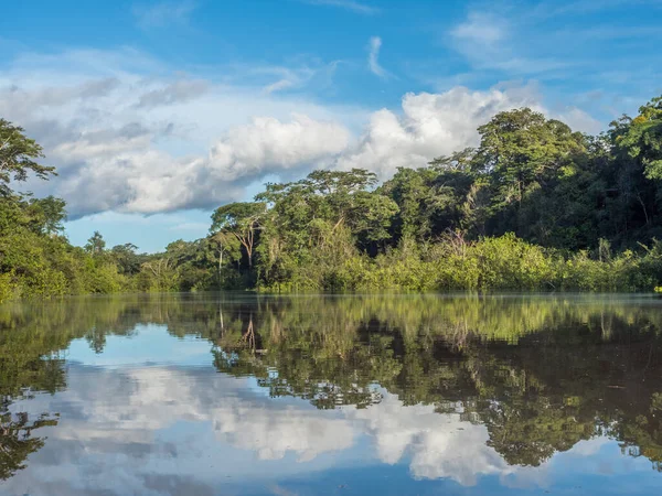 Amazon Nehri 'nin akarsuyu olan Javari Nehri yakınlarındaki Koati Gölü manzarası. Selva Brezilya ve Peru sınırında. Güney Amerika.