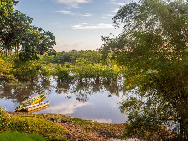 巴西帕尔马里 2016年5月10日 贾瓦里河美景 Amazonia 南美洲 — 图库照片