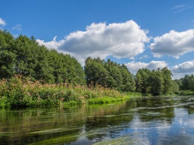 Ağaçlar ve bulutlar bir suya yansıyor. Wda nehir kano gezisi