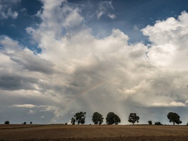 Ilık ve Masuria 'nın sabanla sürüldüğü bir arazideki ağaçların üzerinde bir gökkuşağı. Polonya