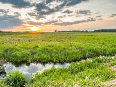 Gün batımında renkli çayır ve küçük dere. Podlasie. Podlachia. Polonya, Avrupa. Bölgeye Podlasko veya Podlasze denir.