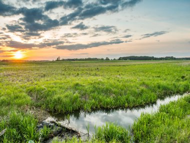 Gün batımında renkli çayır ve küçük dere. Podlasie. Podlachia. Polonya, Avrupa. Bölgeye Podlasko veya Podlasze denir.
