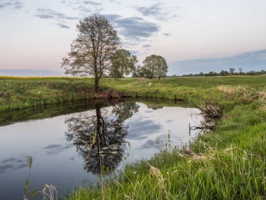 Bug nehrinin yanındaki gölün üzerinde gün batımı. Podlasie. Podlachia. Polonya, Avrupa. Bölgeye Podlasko veya Podlasze denir..