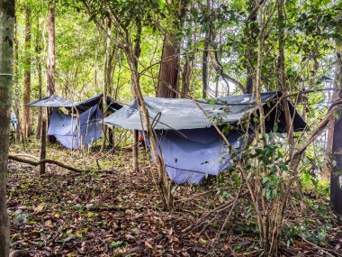 Jungle, Peru - 27 Kasım 2018 Amazon ormanlarında hamaklı kamp. Selva. Latin Amerika.