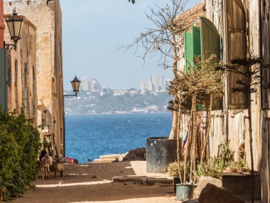 Goree, Senegal - 2 Şubat 2019: tipik Goree adası hatırası. Gore Dakar, Senegal. Afrika.