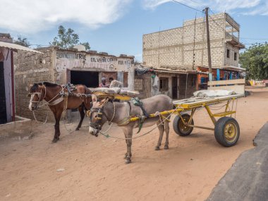 Nianing, Senegal - 24 Ocak 2019: Senegal 'de at ve eşek arabası, yerel yol. Afrika 'da popüler bir ulaşım yoludur.
