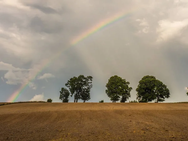 A rainbow over a line of trees on a hill in a plowed field Warmia and Masuria. Poland