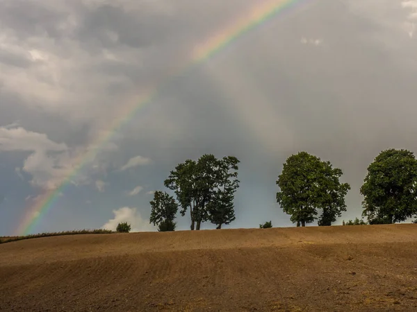 A rainbow over a line of trees on a hill in a plowed field Warmia and Masuria. Poland