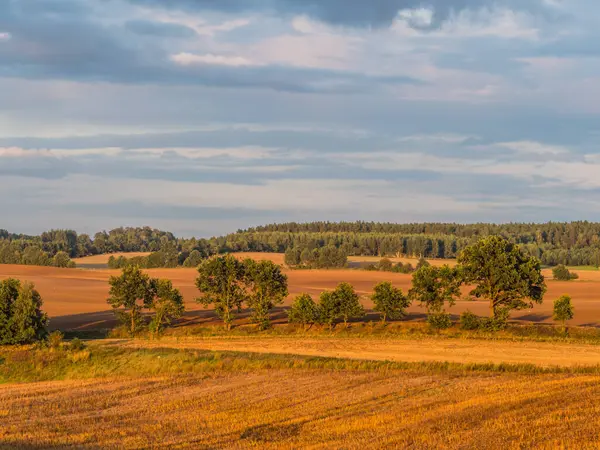 View Hills Fields Mowing Grain Summer Sunset Warmia Masuria Poland Royalty Free Stock Images
