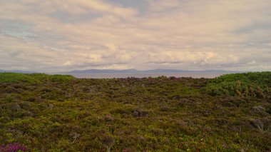 İskoçya 'daki Tarbat Ness Deniz Feneri' nde manzara.