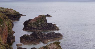 Cruden Körfezi 'nin yaklaşık bir kilometre doğusundaki kayalık sahil şeridi, Aberdeenshir.